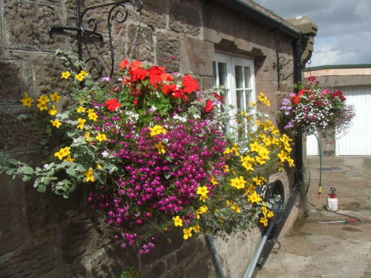 The Old School House Bed and Breakfast Berwick Upon Tweed Εξωτερικό φωτογραφία